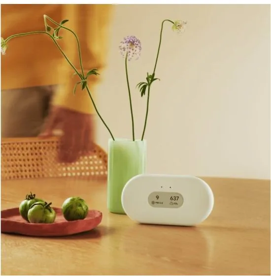Airthings View Plus